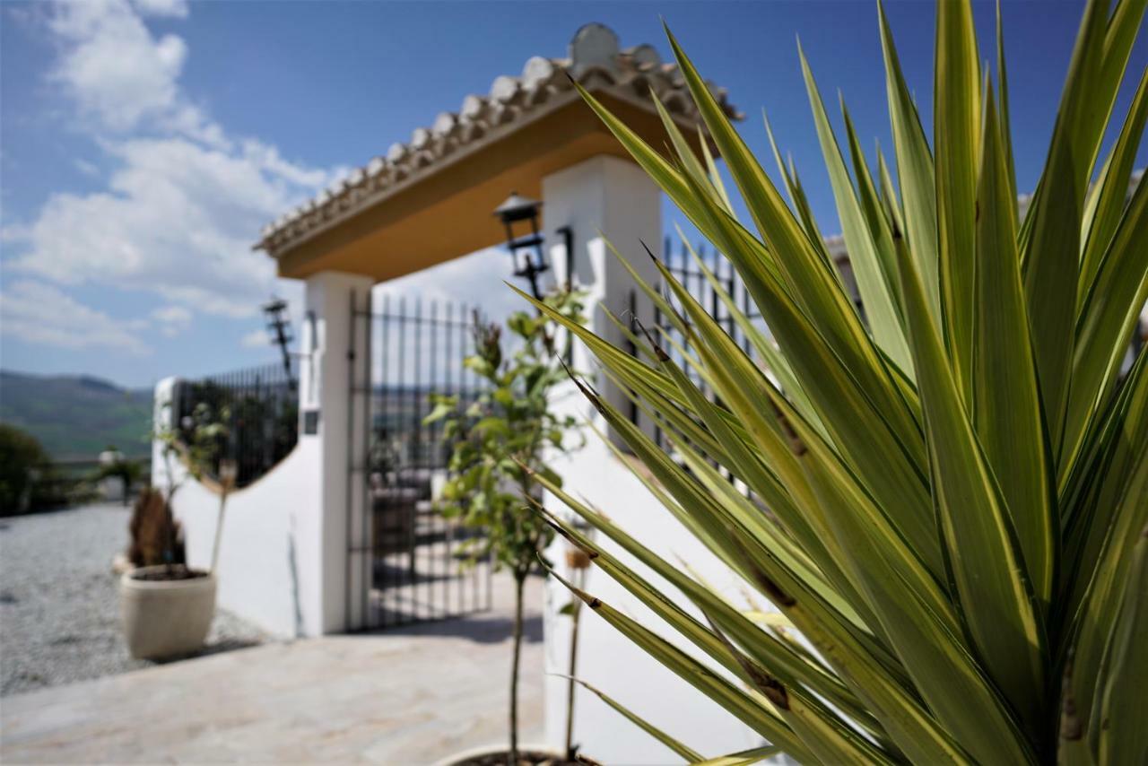 El Amparo Bed & Breakfast Alhama de Granada Bagian luar foto
