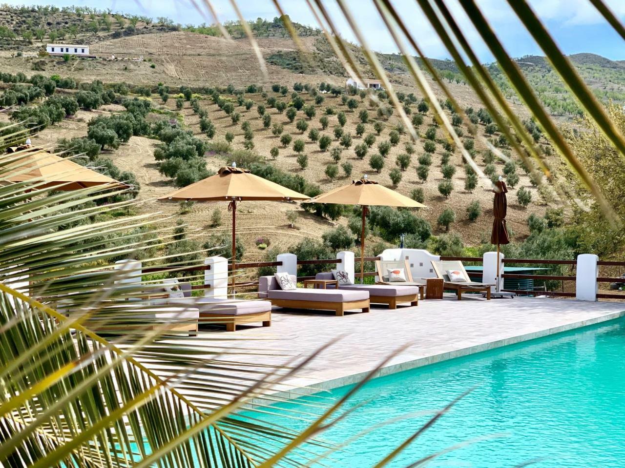 El Amparo Bed & Breakfast Alhama de Granada Bagian luar foto